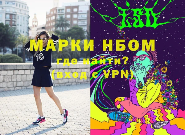 прущие грибы Кукмор