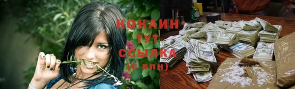 тгк Кулебаки